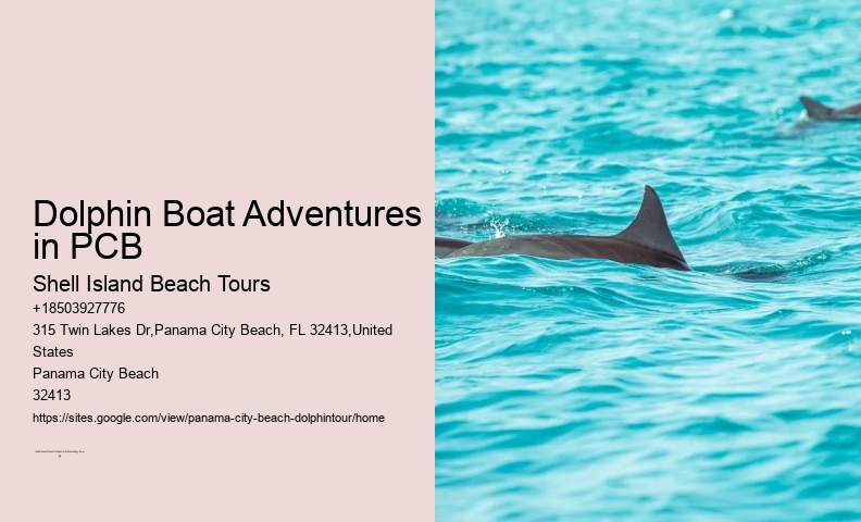 Panama City Beach Florida Dolphin Tours