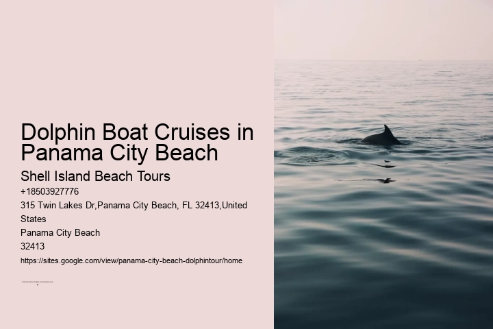 Dolphin Boat Cruises in Panama City Beach