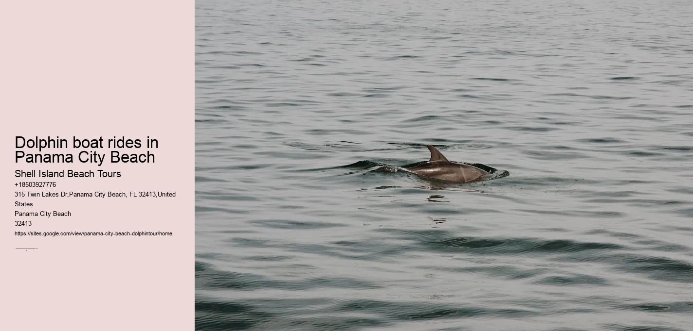 Dolphin boat rides in Panama City Beach