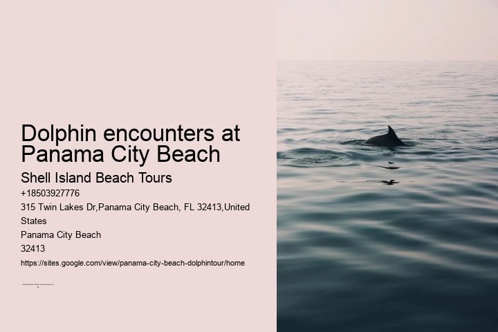 Dolphin encounters at Panama City Beach