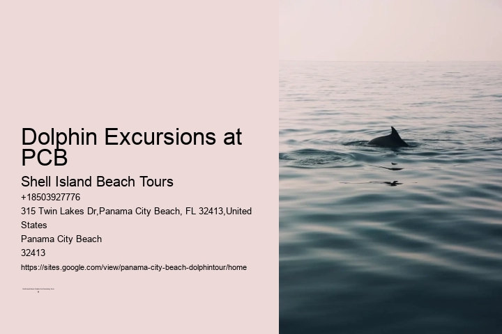 Are Panama City Beach dolphin tours available year-round