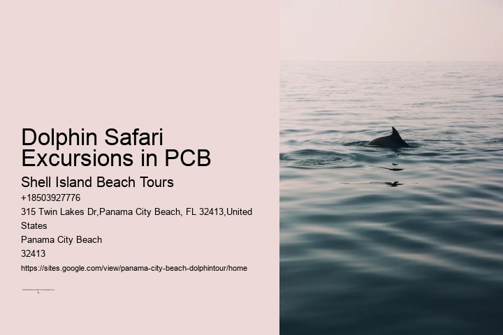 Dolphin Safari Excursions in PCB