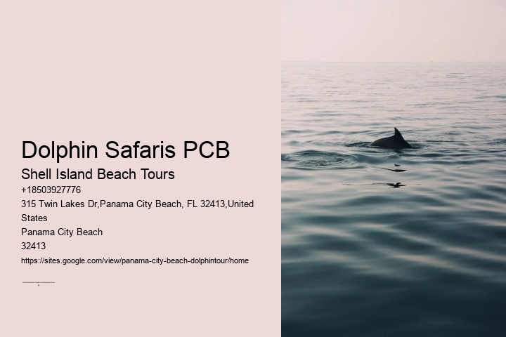 Dolphin Safaris PCB
