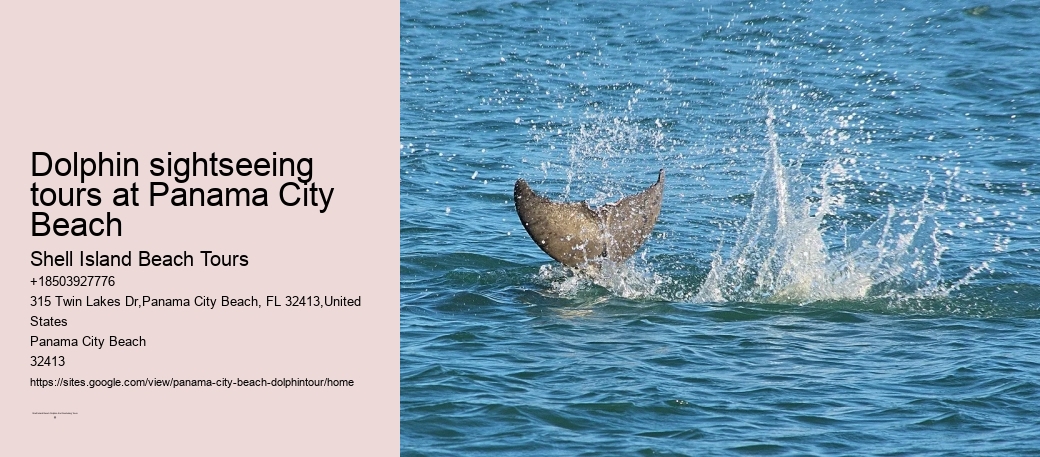 Dolphin sightseeing tours at Panama City Beach