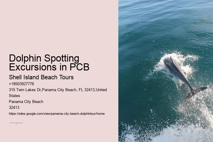 Dolphin exploration experiences in Panama City Beach