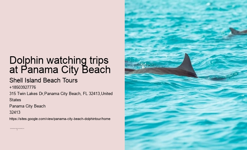 Panama City Beach Dolphin Adventure Cruises