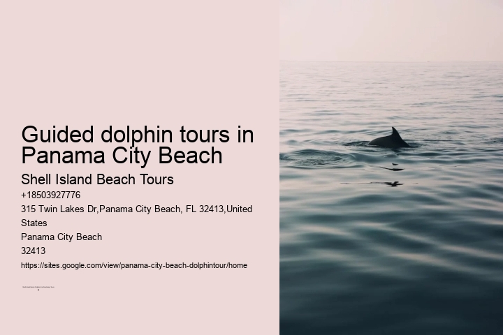 PCB Dolphin Exploration Experiences