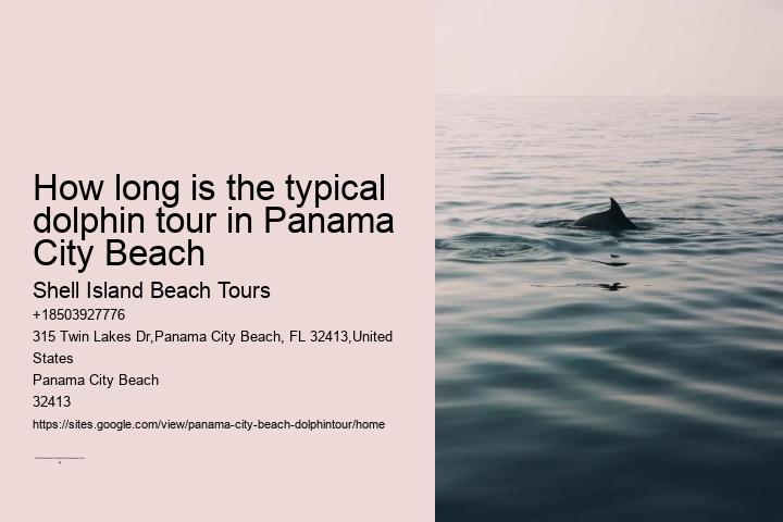 Jet Ski Dolphin Tours Panama City Beach Florida