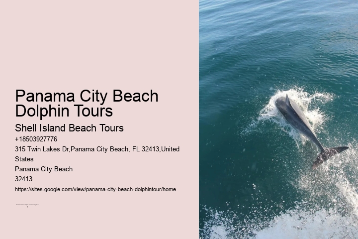 Dolphin Tours In Panama City Beach Florida