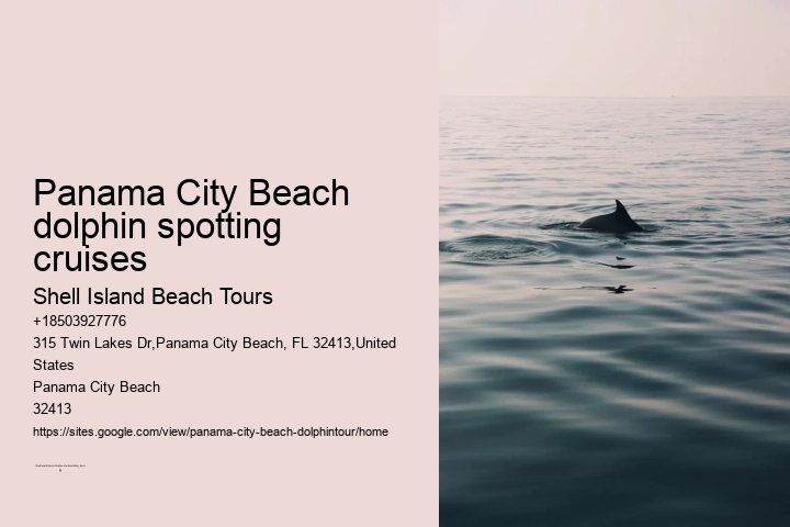 Panama City Beach dolphin spotting cruises