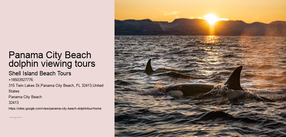 Panama City Beach dolphin viewing tours