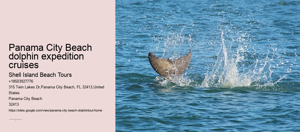 Panama City Beach dolphin expedition cruises