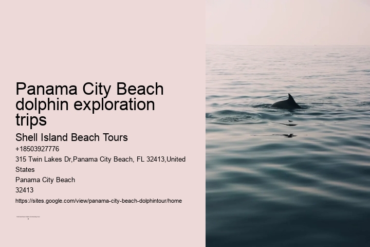 Panama City Beach dolphin exploration trips