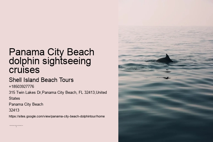 Panama City Beach dolphin sightseeing cruises