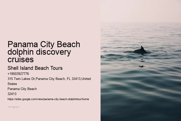 Panama City Beach dolphin discovery cruises