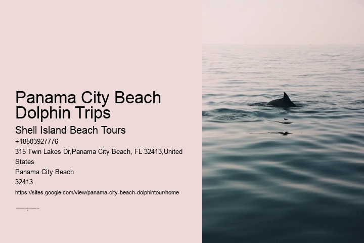 Panama City Beach Dolphin Trips