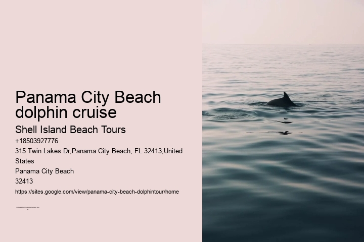 Panama City Beach dolphin cruise