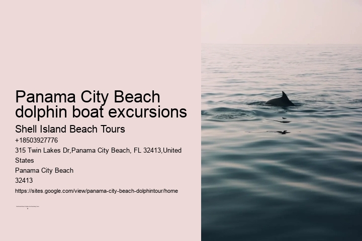 Panama City Beach dolphin boat excursions