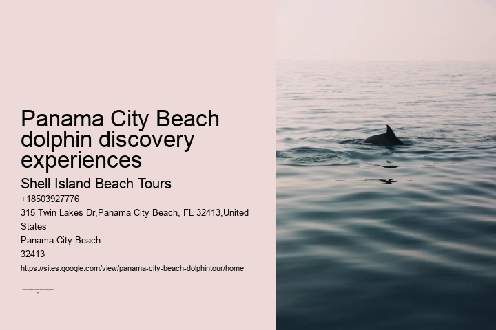 Dolphin watching trips at Panama City Beach