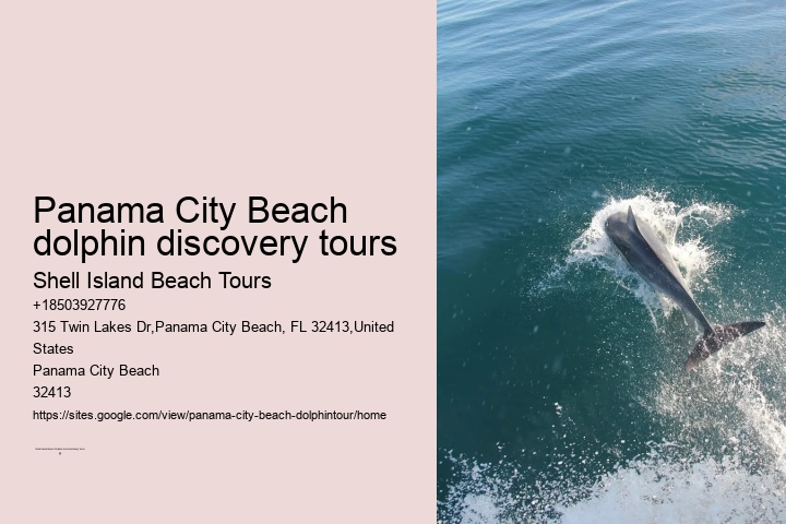 Dolphin Adventure Excursions in PCB