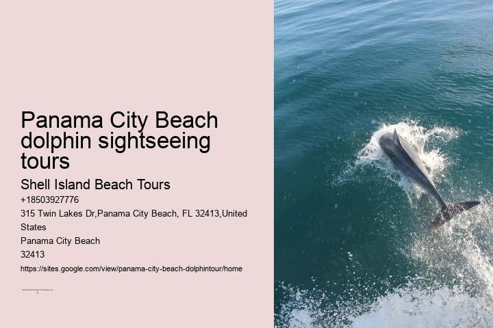 Tours to see dolphins in Panama City Beach