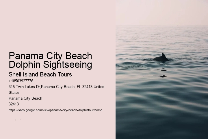 Panama City Beach dolphin safari