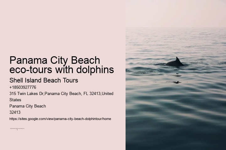 Panama City Beach eco-tours with dolphins