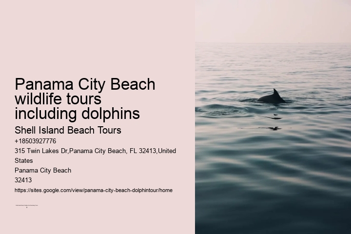 Panama City Beach wildlife tours including dolphins