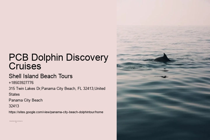 Dolphin watching excursions at Panama City Beach