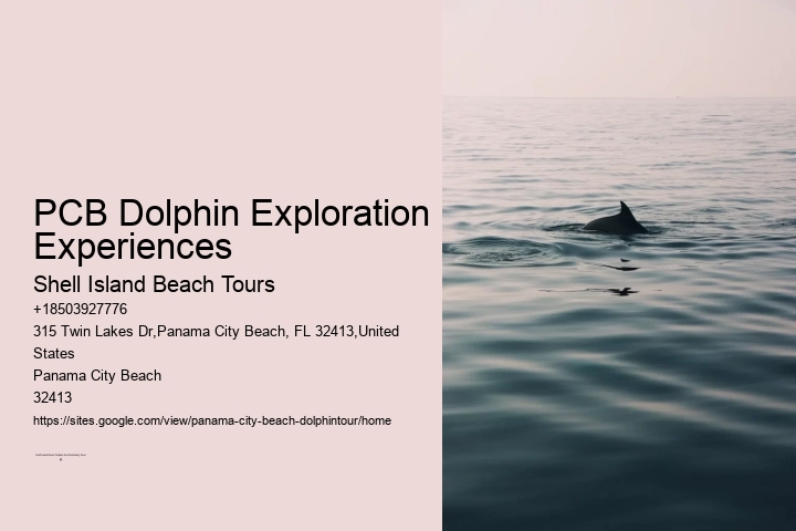 Panama City Beach Dolphin Trips