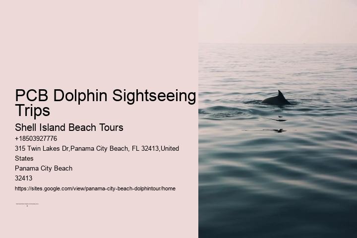 PCB Dolphin Sightseeing Trips