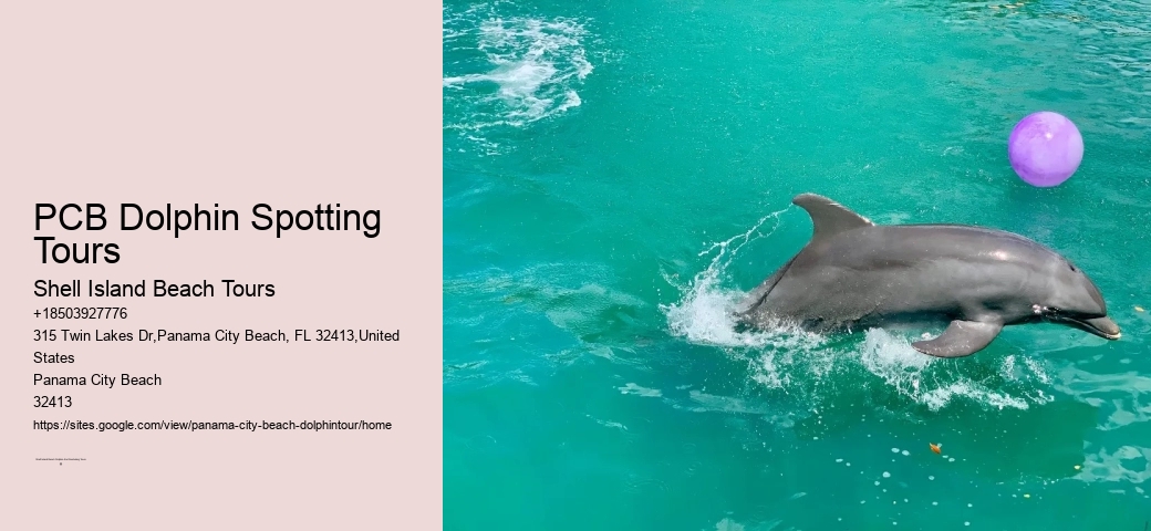 Panama City Beach Dolphin Tours Prices
