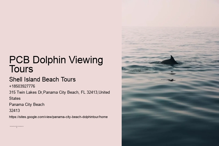 PCB Dolphin Viewing Tours