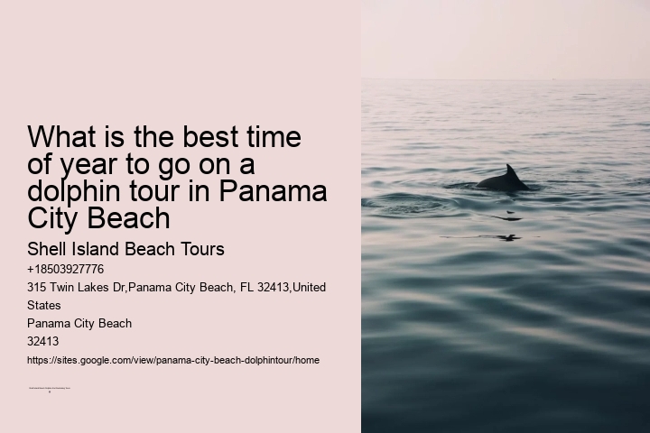 What is the best time of year to go on a dolphin tour in Panama City Beach