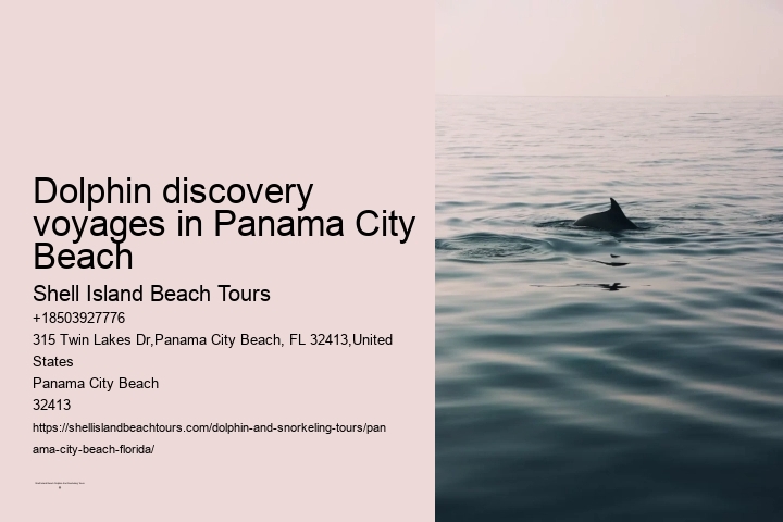 Dolphin discovery voyages in Panama City Beach