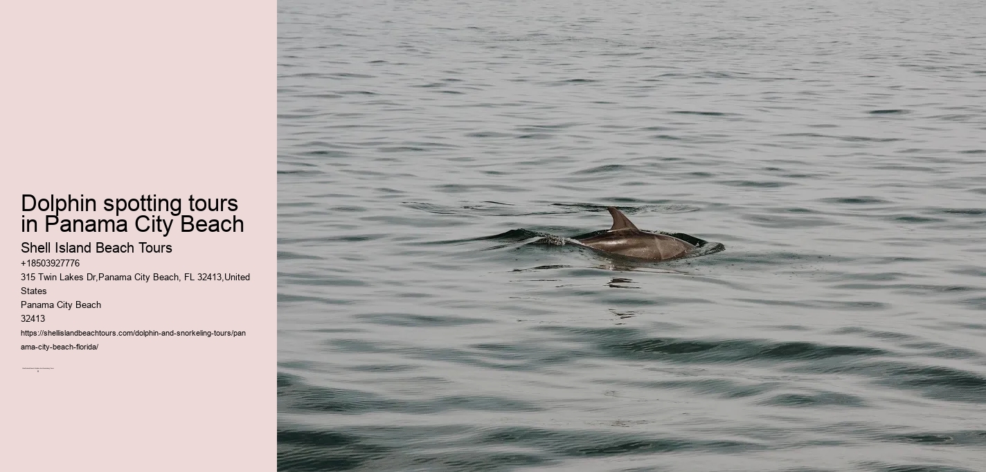 Dolphin spotting tours in Panama City Beach