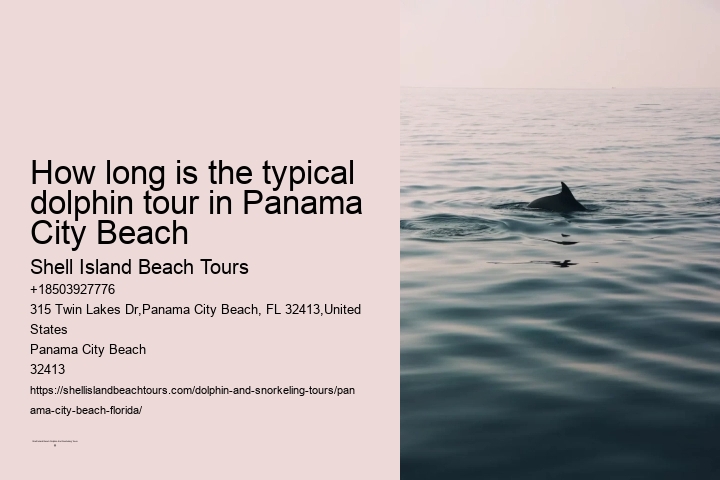 How long is the typical dolphin tour in Panama City Beach