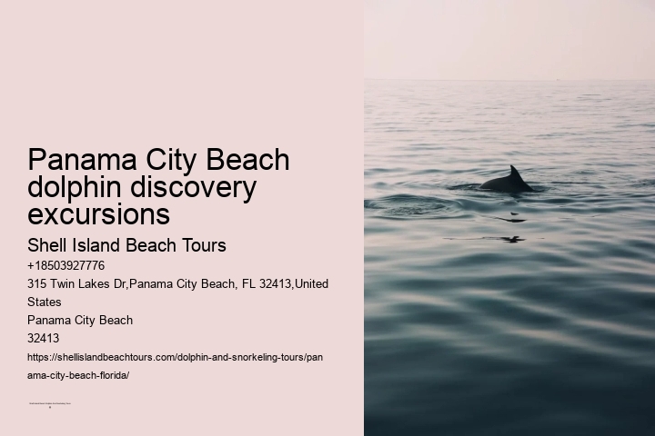 Panama City Beach dolphin discovery excursions