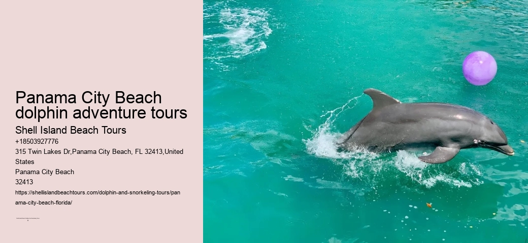 PCB Dolphin Discovery Excursions