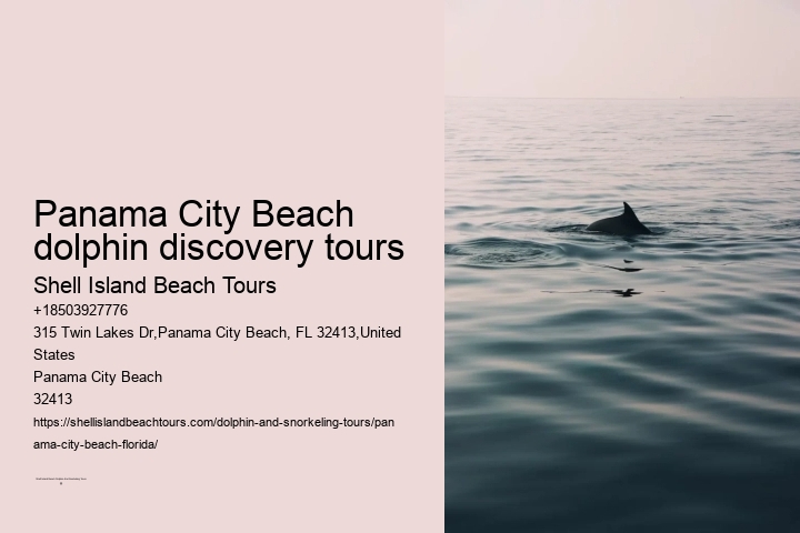 Panama City Beach dolphin cruise