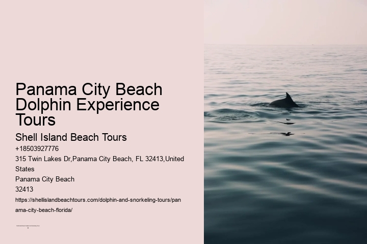 Dolphin Tours In Panama City Beach Florida