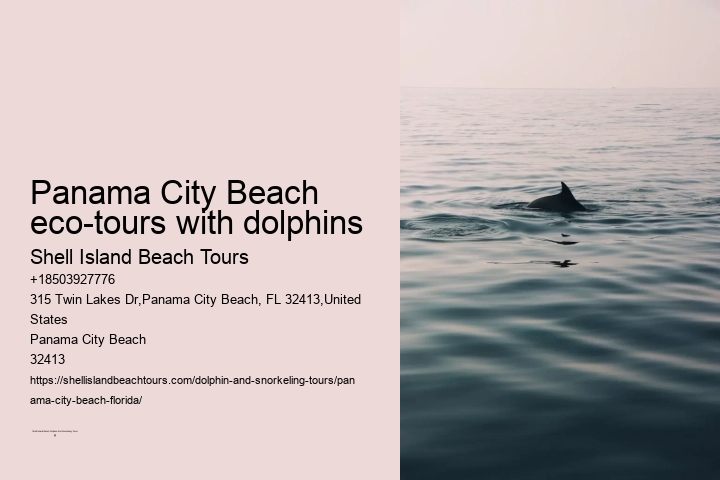 Panama City Beach eco-tours with dolphins