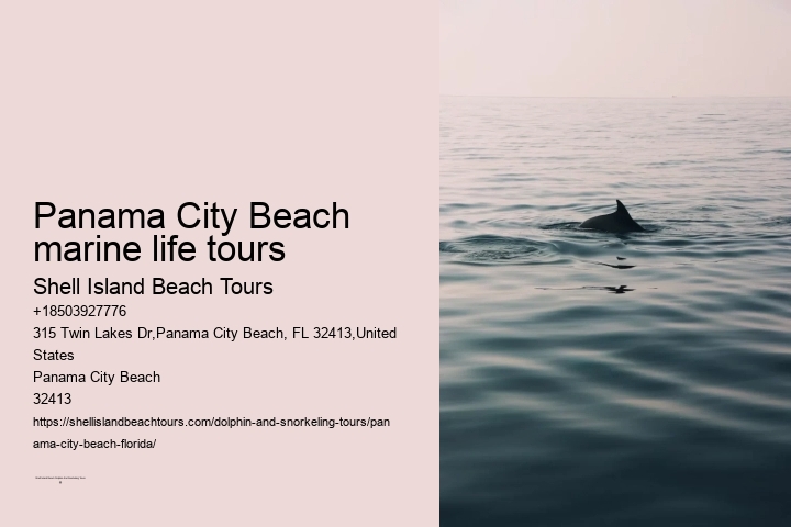 Panama City Beach marine life tours