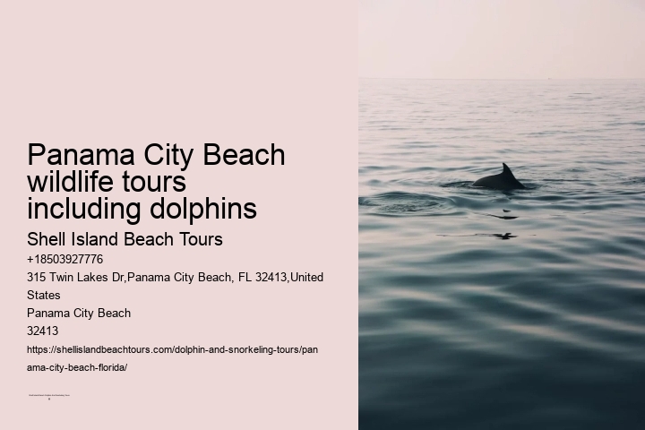 Panama City Beach wildlife tours including dolphins