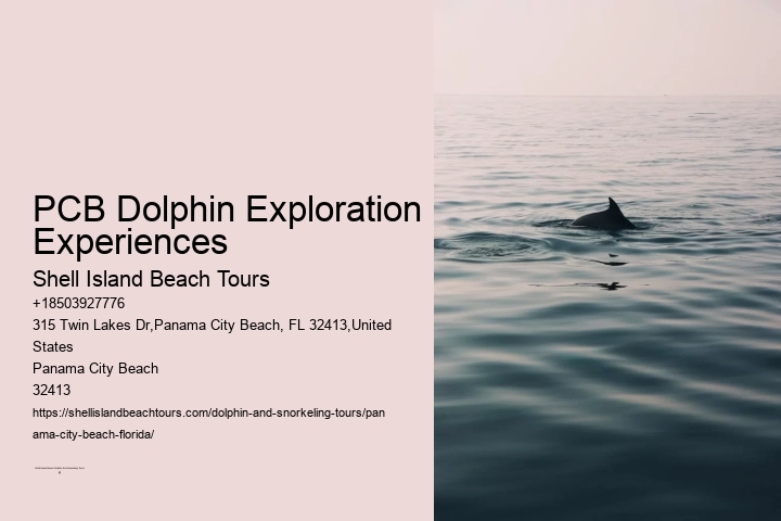 PCB Dolphin Exploration Experiences