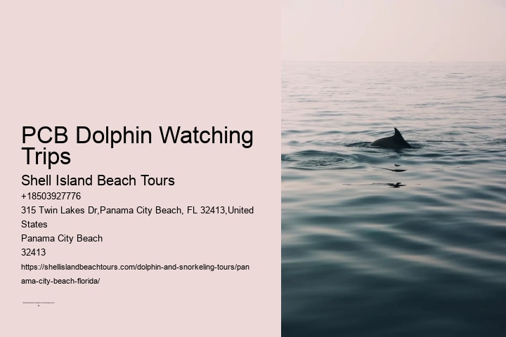 Dolphin tours in Panama City Beach