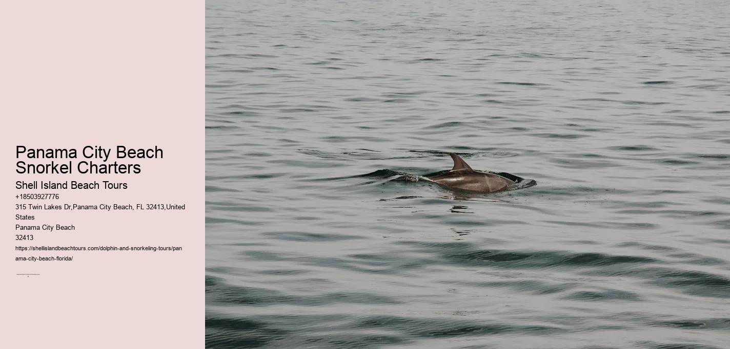 Panama City Beach Snorkel Charters