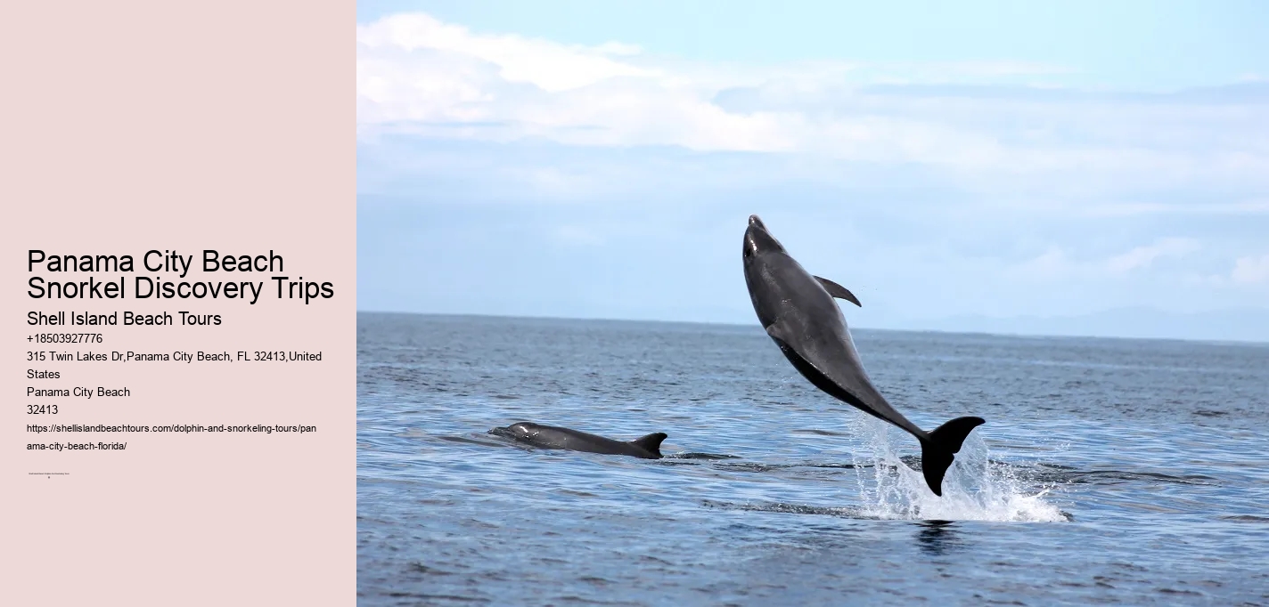 Panama City Beach Snorkeling Tours 6 Points