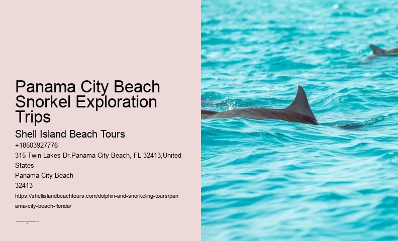 Panama City Beach Snorkel Exploration Trips