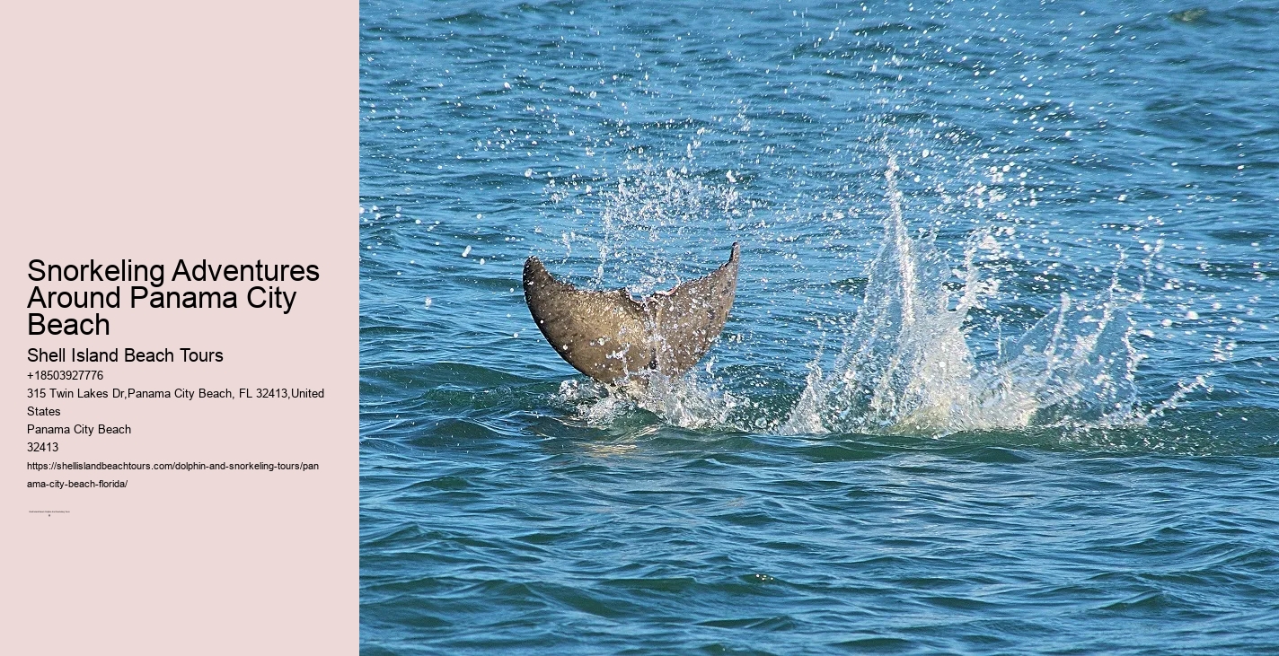 Panama City Beach Snorkeling Tours Washington